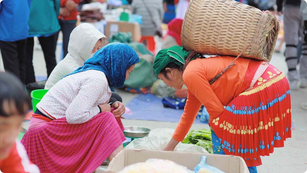 Mercado Meo Vac