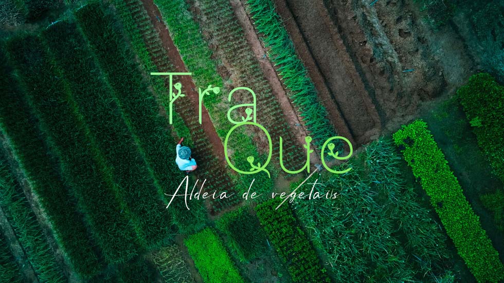 Tra Que