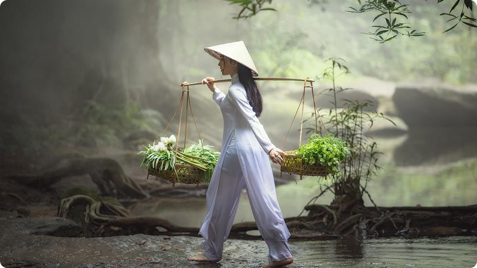 Vietnamita tradicional Ao dai