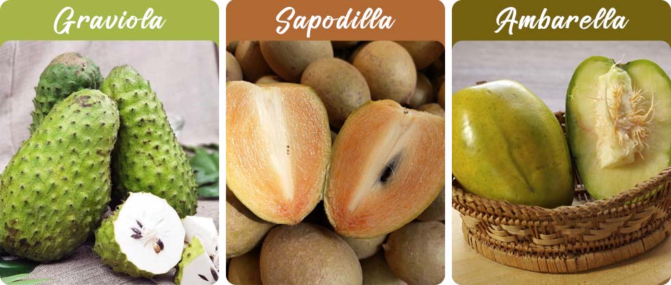 Graviola, Sapodilla, Ambarella
