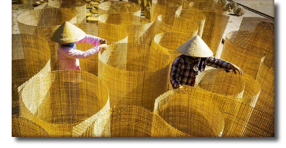 Bambu