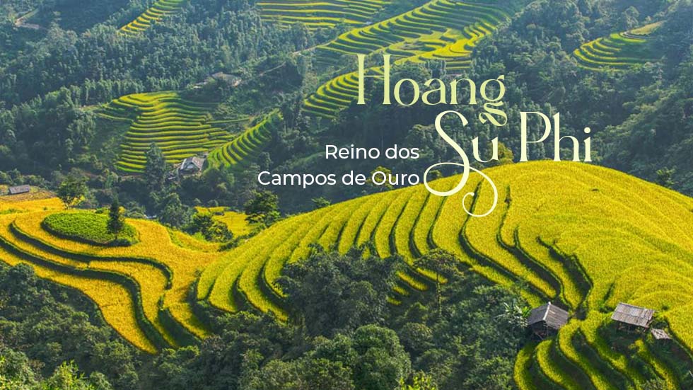 Hoang Su Phi