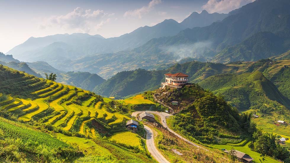 Sapa